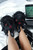 Killstar Dark Lord Satan Baphomet Pentagram Goth Punk Plush Slippers KSRA001363 Killstar Dark Lord Satan Baphomet Pentagram Goth Punk Plush Slippers KSRA001363