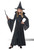 California Costumes Moonlight Shimmer Witch Childrens Halloween Costume 00493 California Costumes Moonlight Shimmer Witch Childrens Halloween Costume 00493