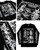 Rogue and Wolf My Last F**K Has Flown Flying Spell Witchcraft T Shirt SPF-01 Rogue and Wolf My Last F**K Has Flown Flying Spell Witchcraft T Shirt SPF-01