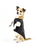 Rogue and Wolf Astral Dogs Pet Crescent Moon Sun Gothic Punk Vest Costume PET-03 Rogue and Wolf Astral Dogs Pet Crescent Moon Sun Gothic Punk Vest Costume PET-03