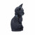 Nemesis Now Malpuss Winged Occult Cat Figurine Demon Statue Wiccan B5149R0 Nemesis Now Malpuss Winged Occult Cat Figurine Demon Statue Wiccan B5149R0