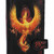 Nemesis Now Anne Stokes Phoenix Rising Fire Fantasy Gothic Wicca Wallet B5375S0 Nemesis Now Anne Stokes Phoenix Rising Fire Fantasy Gothic Wicca Wallet B5375S0