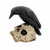 Nemesis Now Ravens Remains Human Skull Gothic Desk Ornament Figurine NEM2834 Nemesis Now Ravens Remains Human Skull Gothic Desk Ornament Figurine NEM2834