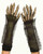 Zagone Skeleton Gloves Grim Reaper Bones Hands Adult Halloween Costume G1008 Zagone Skeleton Gloves Grim Reaper Bones Hands Adult Halloween Costume G1008
