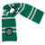 Disguise Harry Potter Hogwarts Slytherin Uniform Scarf Costume Accessory 108149