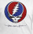 AUTHENTIC GRATEFUL DEAD STEAL YOUR FACE RINGER MUSIC MENS T SHIRT S M L XL 2XL