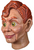 Trick Or Treat Goosebumps Slappy The Dummy Adult Halloween Costume Mask MASM100 Trick Or Treat Goosebumps Slappy The Dummy Adult Halloween Costume Mask MASM100