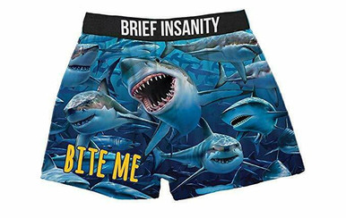 Brief Insanity Fallen but not Forgotten USA Military Boxer Shorts