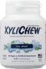 Xylichew: Sugar Free Chewing Gum Ice Mint Jar, 60 Pc