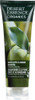 Desert Essence: Organics Shampoo Green Apple And Ginger, 8 Oz