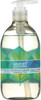 Seventh Generation: Free & Clean Fragrance Free Natural Hand Wash, 12 Oz