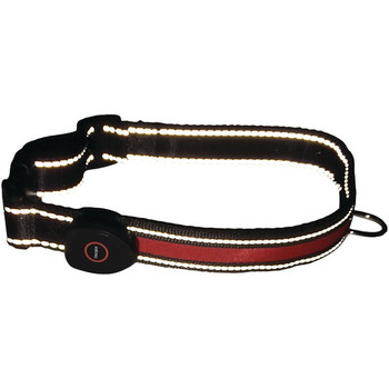 LED Dog Collar (Small)