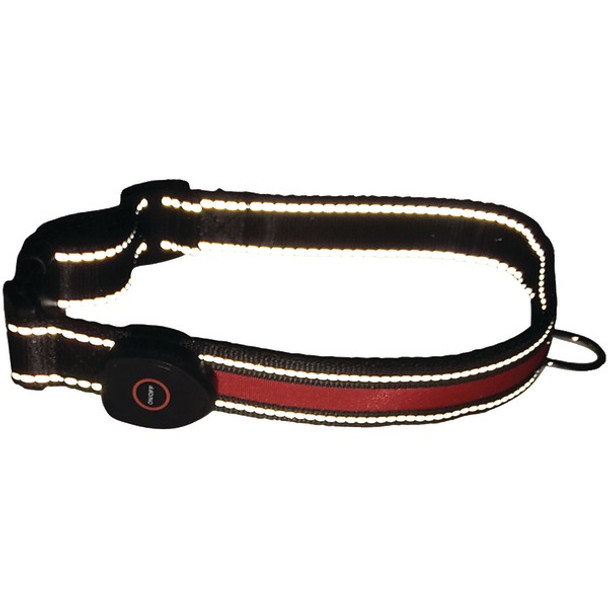 LED Dog Collar (Large)