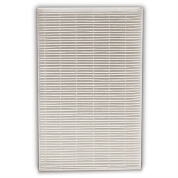 HEPA AllergnRemv Filter 1PK Wh