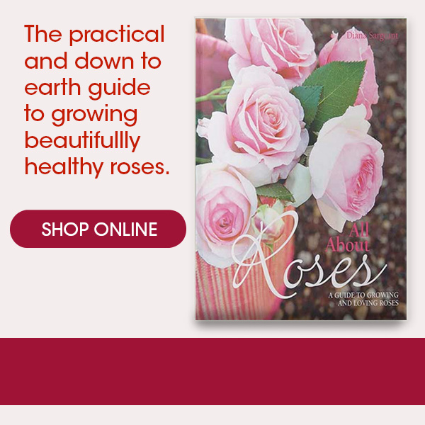 rose sales online