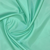 Polyester Lining - Mint 246498AG