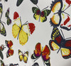 Printed Silk Charmeuse - Large Butterflies White 208542L