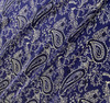 Printed Silk Charmeuse - Paisley Vine White Black on Blue 208542AC