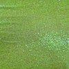 All Over Sequins CLEARANCE - Light Green with Iridescent