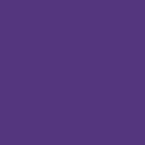 Invisible Zipper 8" - 559 Purple