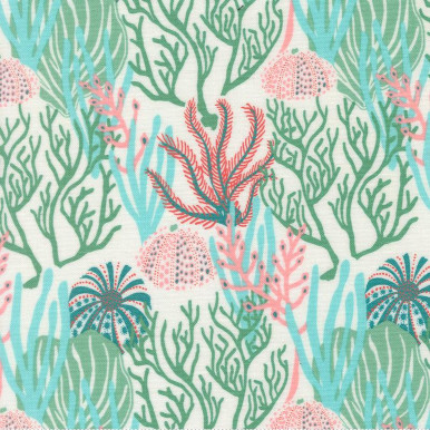 Reef Coral Reef Seaweed 223707AM