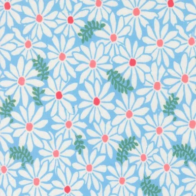 Reef Bloom Sky 223707AU