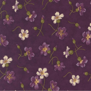 Collection Essence Plum 223707BN