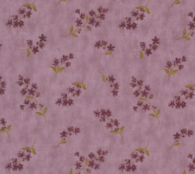 Collection Essence Lavender 2 223707BX