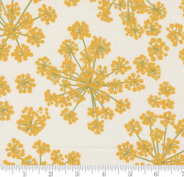 Garden Series - Fennel Large Floral - Cream 223707ET