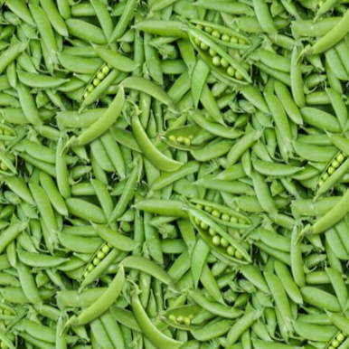 Favorite Festivals - Green Peas 223707GF