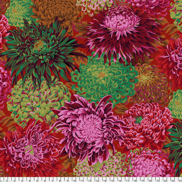 Japanese Chrysanthemum - Scarlett 223707QJ