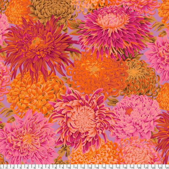 Japanese Chrysanthemum - Pink 223707QL