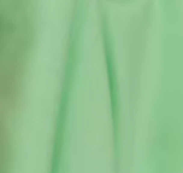 Imperial Broadcloth - Jade 527 219029BU