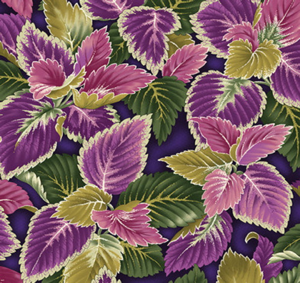 Flower Festival 2 Collection - Coleus Plum 209925AQ