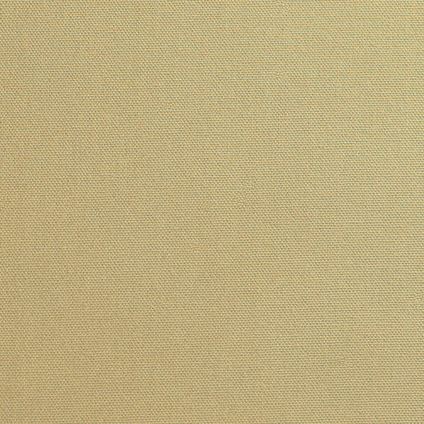 Pebbletex Cotton Canvas - Jute 189121N