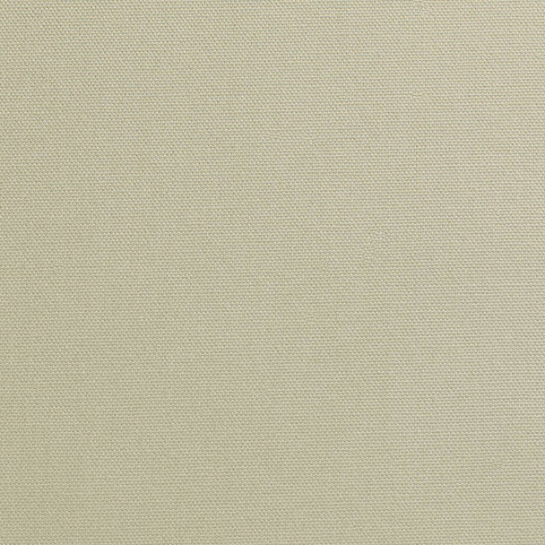 Pure Cotton Canvas - Beach 189121X