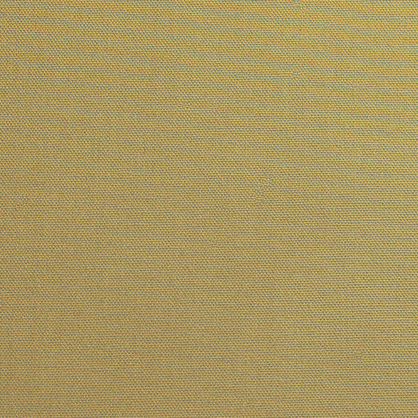 Pebbletex Cotton Canvas - Sand 189121O