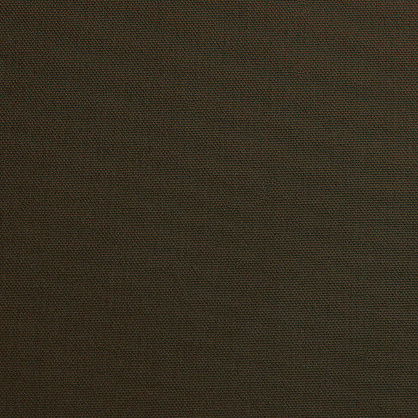 Pebbletex Cotton Canvas - Woodland 189121BN