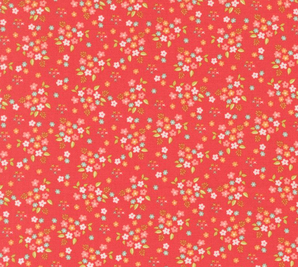 Delightfully Yours Geranium 223707V Delightfully Yours Geranium 223707V