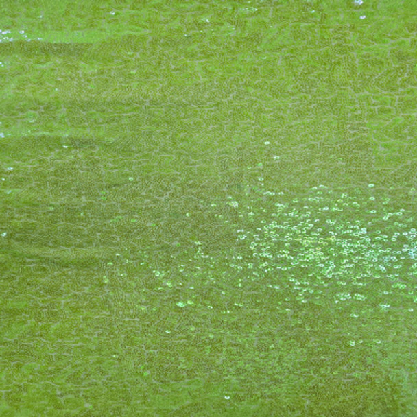 All Over Sequins CLEARANCE - Light Green with Iridescent