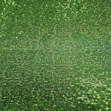 All Over Sequins CLEARANCE - Green with Iridescent