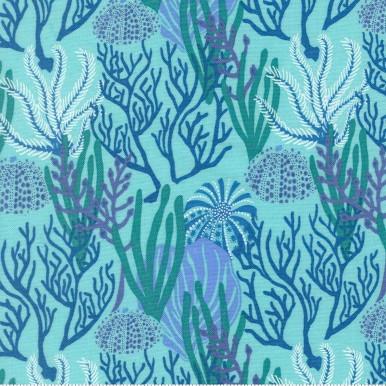 Reef Coral Reef Algae 223707AK