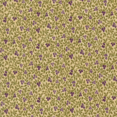 Collection Essence Parchment 6 223707BZ