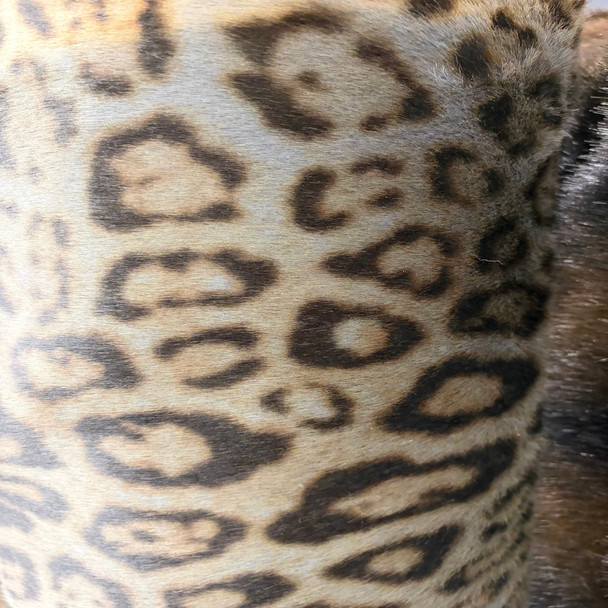 Luxury Faux Fur - Leopard 217032W