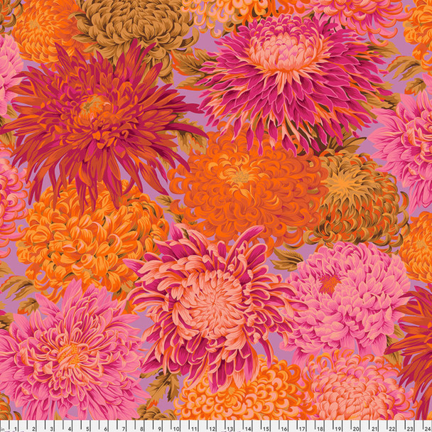 Japanese Chrysanthemum - Pink 223707QL