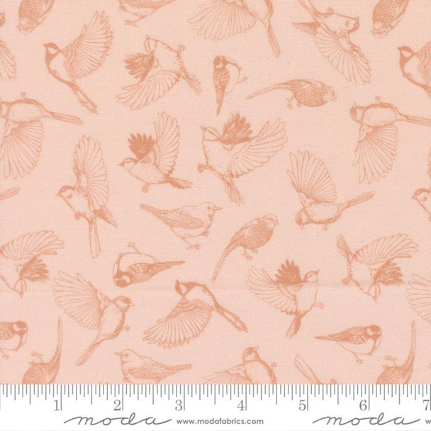 Feather and Forest Bloom - Petal 223707UF