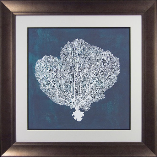 Sea Fan I Framed Picture by Camelot