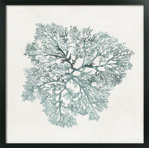 Teal Coral Framed Picture A by Camelot