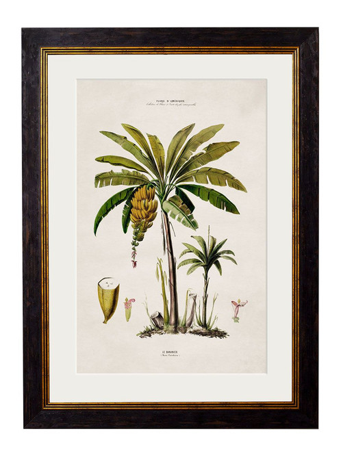 Banana Palm Oxford Slim Frame - A3