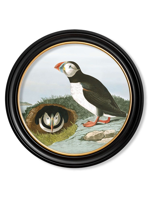 Puffin Black/Gold Round Frame - 44cm